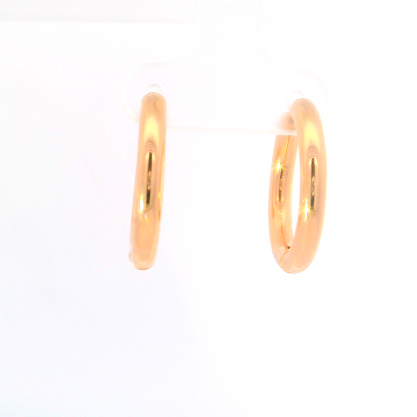 Precious Metal (No Stones) Earring